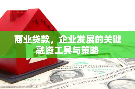 西山商业贷款，企业发展的关键融资工具与策略