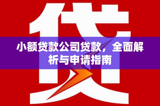 西山小额贷款公司贷款，全面解析与申请指南
