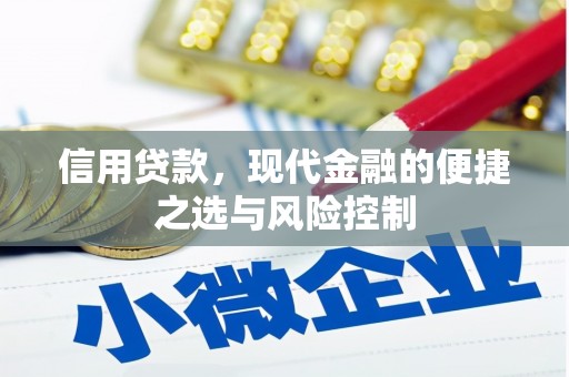 西山信用贷款，现代金融的便捷之选与风险控制