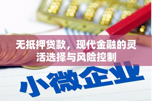西山无抵押贷款，现代金融的灵活选择与风险控制