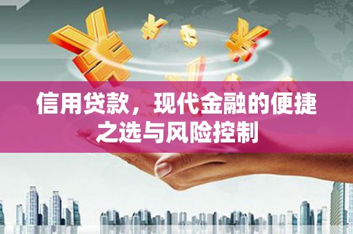 西山信用贷款，现代金融的便捷之选与风险控制