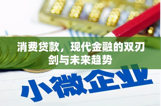西山消费贷款，现代金融的双刃剑与未来趋势