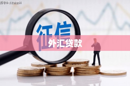 西山外汇贷款