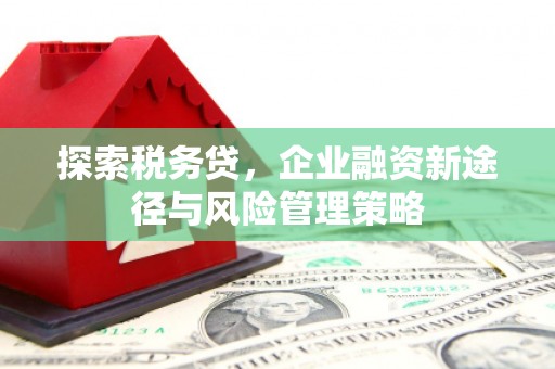 西山探索税务贷，企业融资新途径与风险管理策略