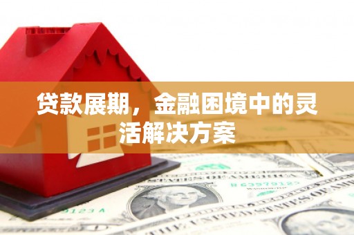 西山贷款展期，金融困境中的灵活解决方案