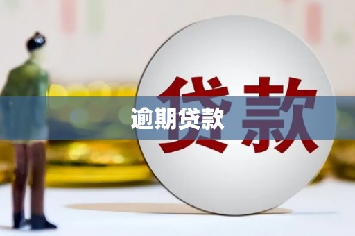 西山逾期贷款
