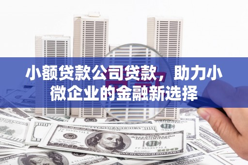 西山小额贷款公司贷款，助力小微企业的金融新选择