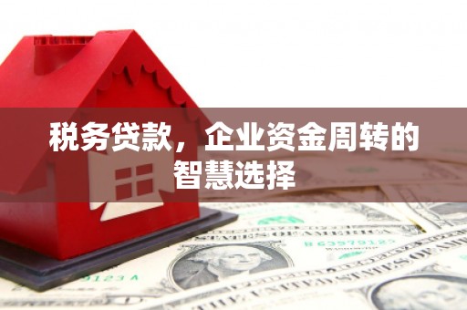 西山税务贷款，企业资金周转的智慧选择