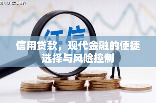 西山信用贷款，现代金融的便捷选择与风险控制