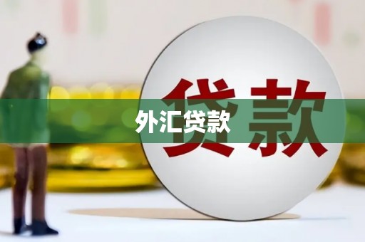西山外汇贷款