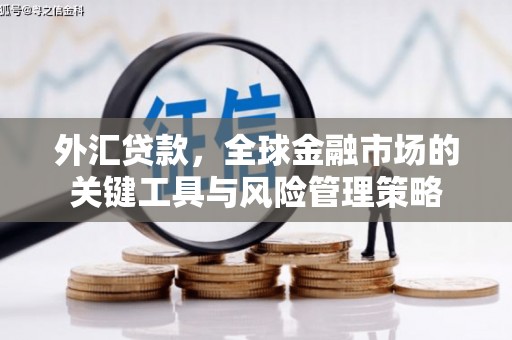 西山外汇贷款，全球金融市场的关键工具与风险管理策略