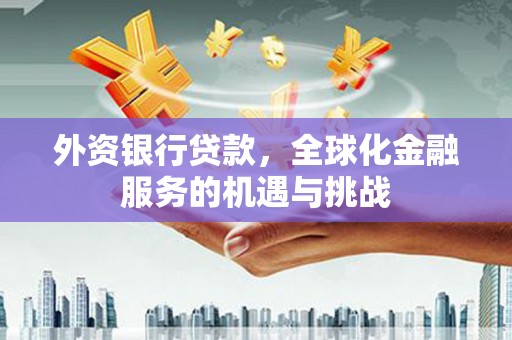 西山外资银行贷款，全球化金融服务的机遇与挑战