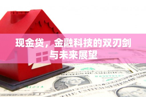 西山现金贷，金融科技的双刃剑与未来展望