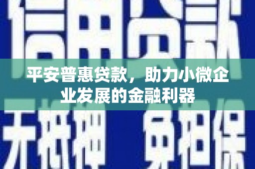 西山平安普惠贷款，助力小微企业发展的金融利器