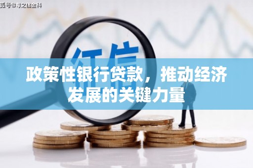 西山政策性银行贷款，推动经济发展的关键力量