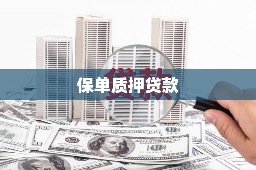 西山保单质押贷款