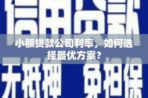 西山小额贷款公司利率，如何选择最优方案？