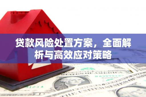西山贷款风险处置方案，全面解析与高效应对策略