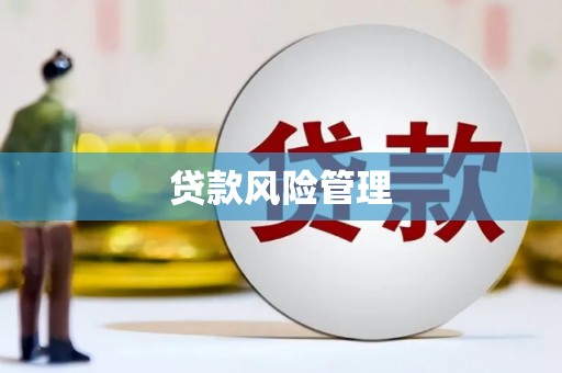 西山贷款风险管理