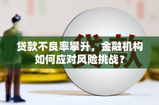 西山贷款不良率攀升，金融机构如何应对风险挑战？