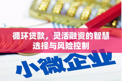 西山循环贷款，灵活融资的智慧选择与风险控制