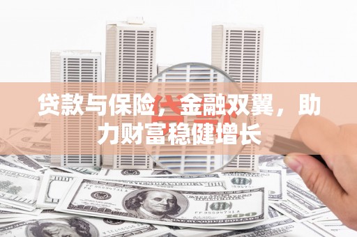 西山贷款与保险，金融双翼，助力财富稳健增长