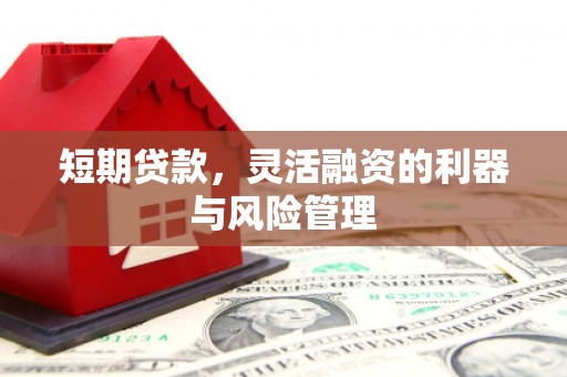 西山短期贷款，灵活融资的利器与风险管理