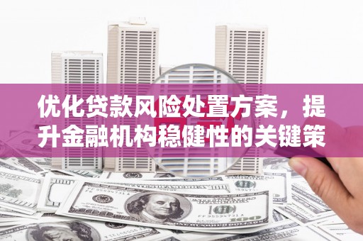 西山优化贷款风险处置方案，提升金融机构稳健性的关键策略