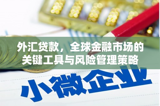 西山外汇贷款，全球金融市场的关键工具与风险管理策略