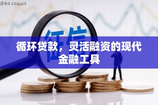 西山循环贷款，灵活融资的现代金融工具