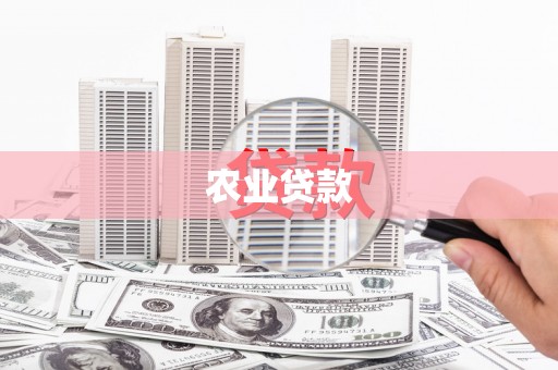 西山农业贷款