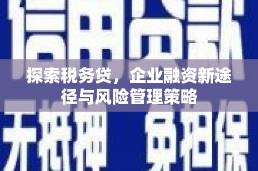 西山探索税务贷，企业融资新途径与风险管理策略