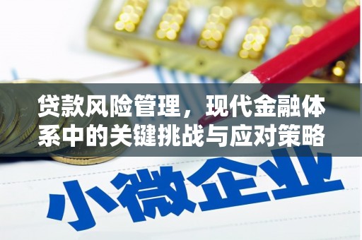 西山贷款风险管理，现代金融体系中的关键挑战与应对策略