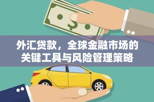 西山外汇贷款，全球金融市场的关键工具与风险管理策略