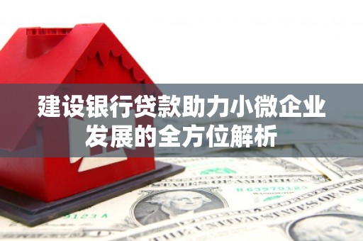 西山建设银行贷款助力小微企业发展的全方位解析