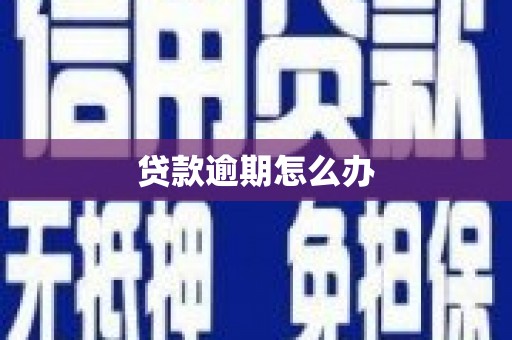 西山贷款逾期怎么办