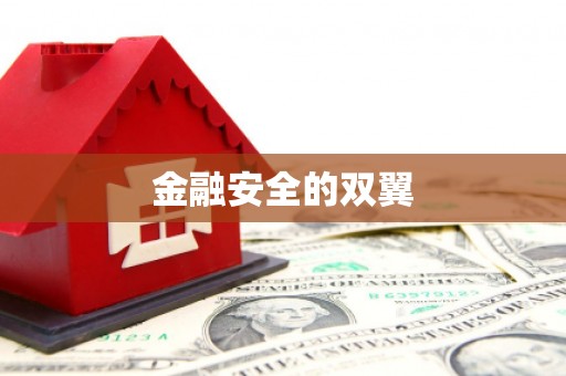 西山金融安全的双翼