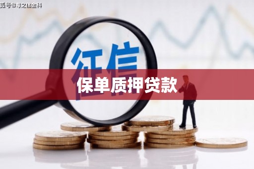 西山保单质押贷款