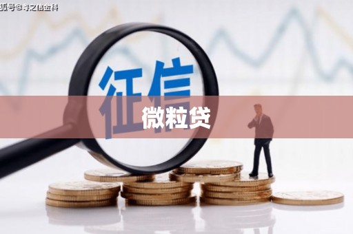 西山微粒贷