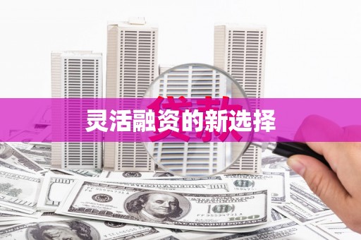 西山灵活融资的新选择