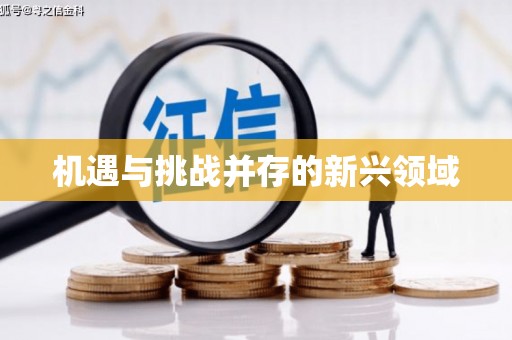 西山机遇与挑战并存的新兴领域