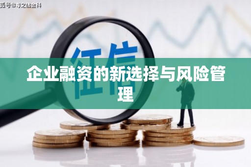 西山企业融资的新选择与风险管理