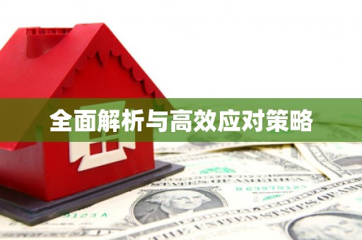 西山全面解析与高效应对策略